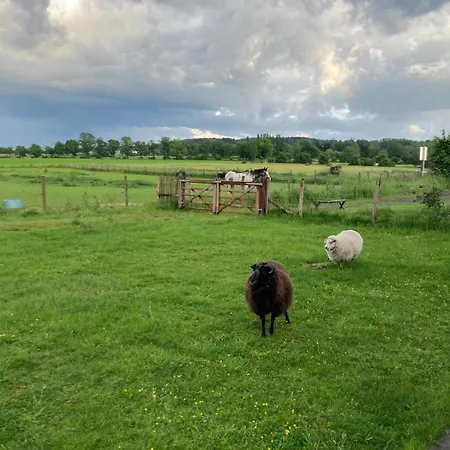 Hébergement de vacances La Petite Maison Dans La Prairie