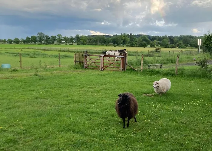 Hébergement de vacances La Petite Maison Dans La Prairie