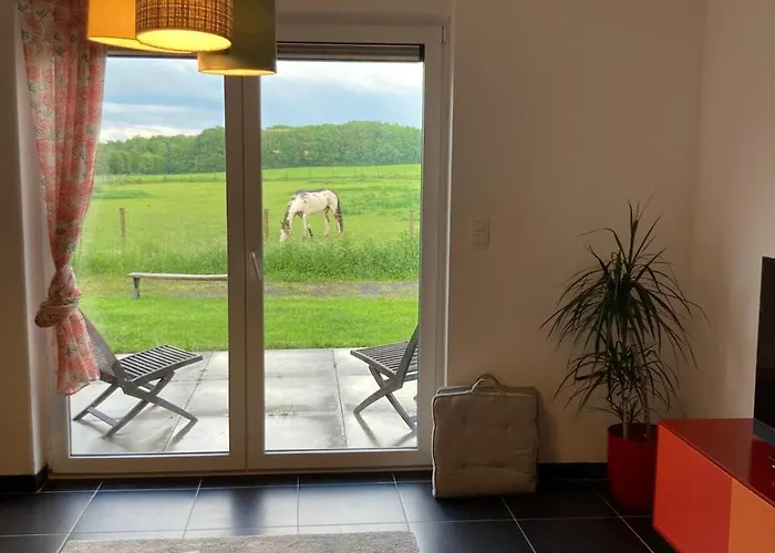 La Petite Maison Dans La Prairie Holiday home Ferrieres